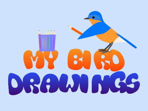 My bird drawings with pencil