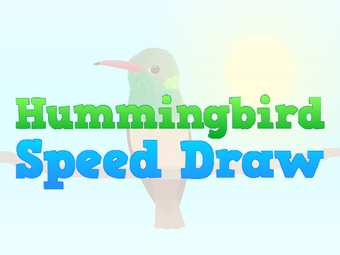 Hummingbird Speed Draw