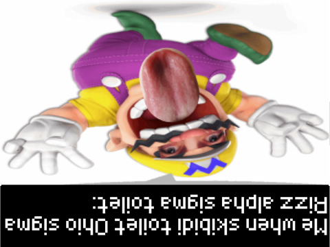 Whathesigmaohiochatfiltertoiletlikebrehwhaduhel