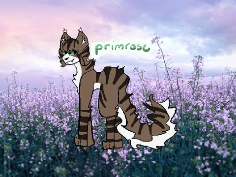 "Heart, embark, a beautiful star" Primrosekit