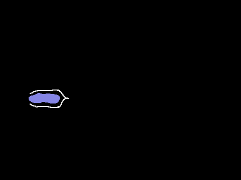 Animation that is so random I just -no-