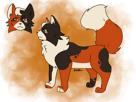 Weekly warrior cats, part 1