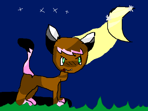 Midnight CC 
