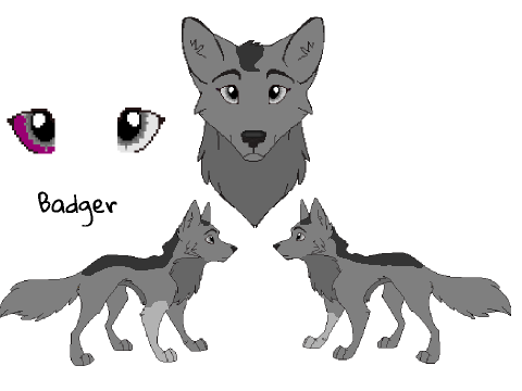 Wolf RP Template ~ Lukas + Badger
