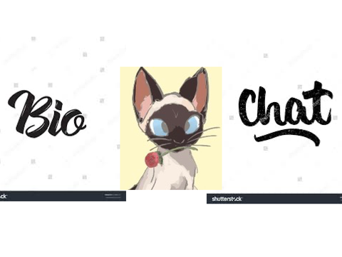 Chatroom✨