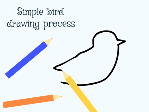 Simple bird drawing process