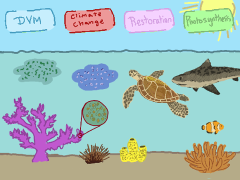 Explore a Coral Reef!