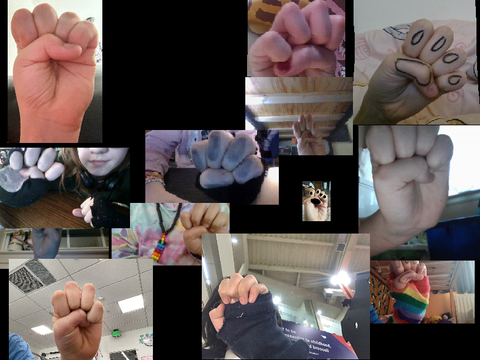 Add your paw to stop therian and furry hate!!! GOOO