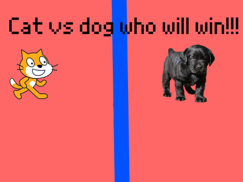 Dog vs cat 