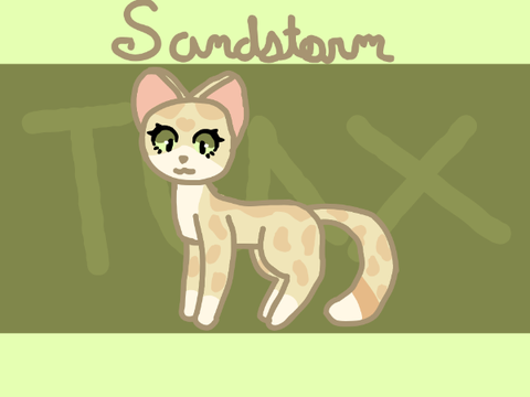 Sandstorm Drawing