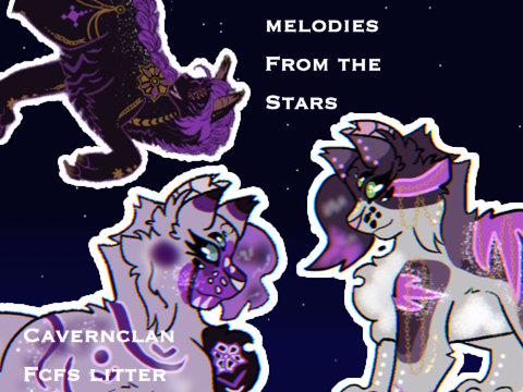 advertisement // apply for this litter it's so peak