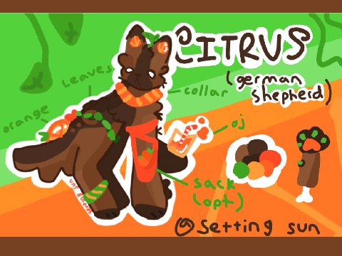 ✧･ﾟCitrus Reference! ✧･ﾟ 