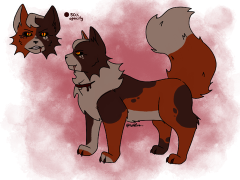 Weekly warrior cats, part 2