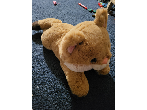 ~Bio~ Mapleshine