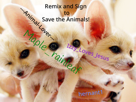 Remix and Sign to Save the Animals! REMIX NOW!!!
