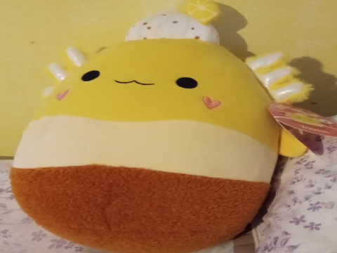 My Squishmallow Collection 