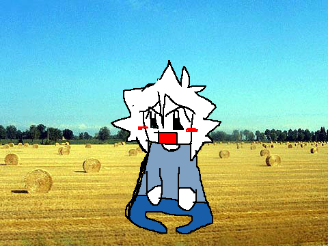 Soup 0.9 - Don05 (cover)