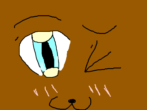 idk (better veirson)