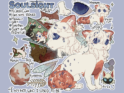 .·:·.☽✧ ✦ Soulsight Reference ✦ ✧☾.·:·.