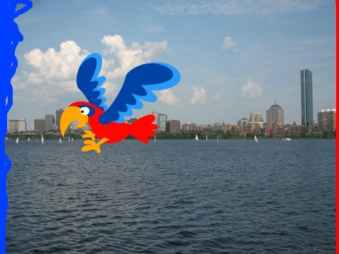 Cool bird adventure