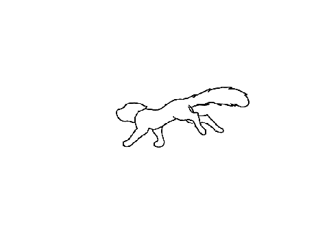 Animation plan