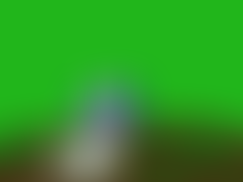 //Monsters// an Ivypool map part- 2