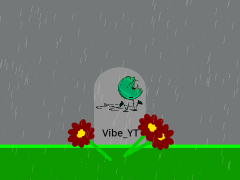 vibe_YT funeral
