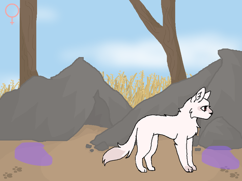 - Dawn and Dusk - A Warrior Cats Game - Path of a Medicine Cat Sequel - remix-2