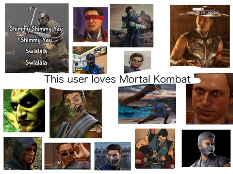 This user loves Mortal Kombat