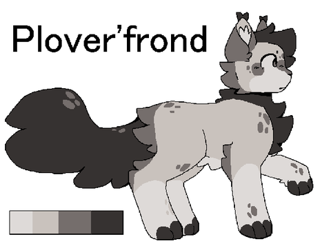 plover'frond --