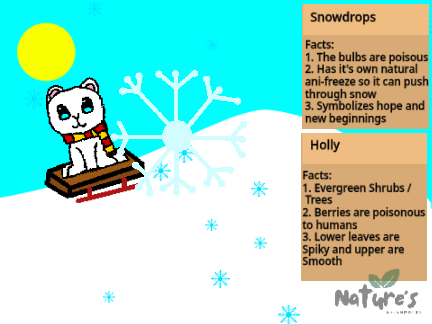 Nature's Neighbor's - Snowflake Activity remix