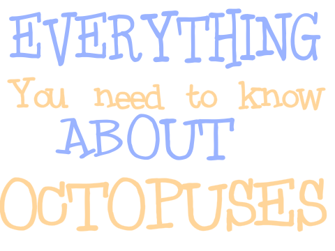 ~Everything♥You♥Need♥to♥know♥about♥Octopuses♥~
