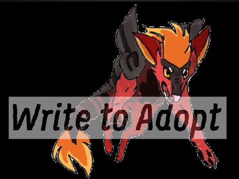 WRITE to Adopts | entry