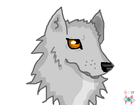 wolf head: drawn 