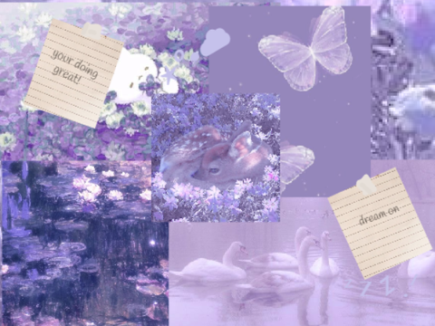 aesthetic lavender