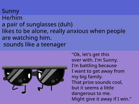 sun glasses thing