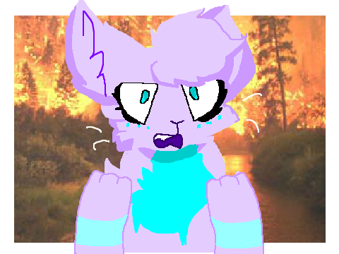Wildfire | Meeeme c: