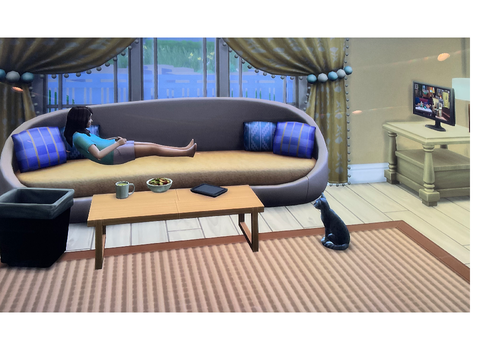 Sims 4 sick day