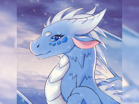 PFPE - Snow