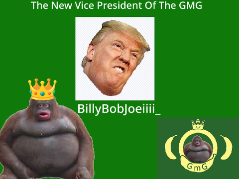 Welcome To The New Vice President Of The GMG