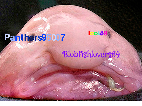 Sign here if your against blobfish hunting remix remix