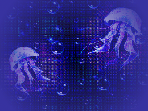 「·Jellyfish·」