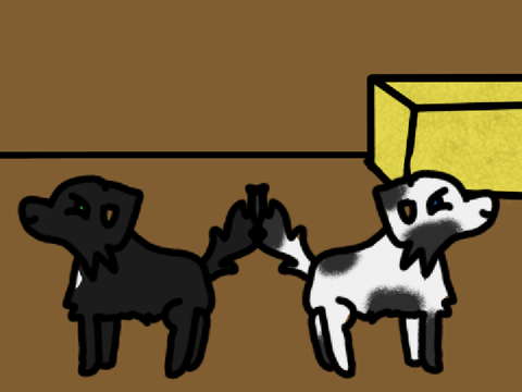Ravenpaw and Barley