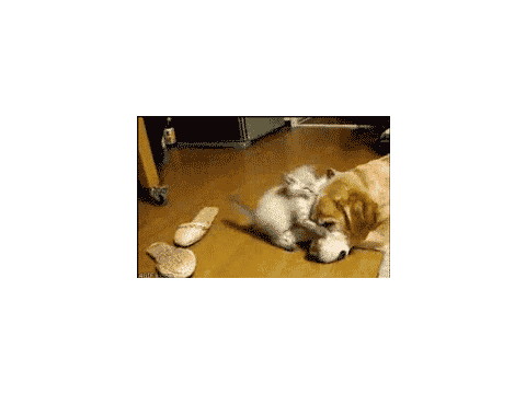 :3