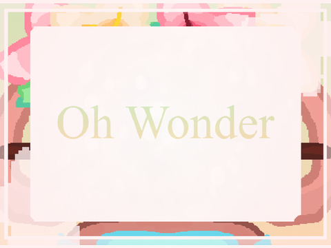 ꕥ Oh Wonder ꕥ Bassie ꕥ