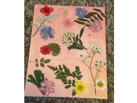 Nature art- Day 19