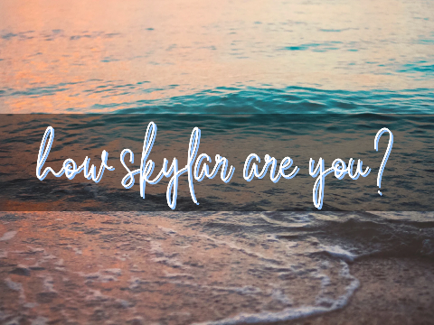 ✩┊ how skylar are you?