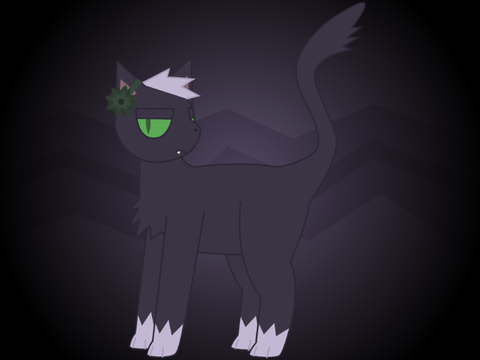 Duskthorn and Robinpaw