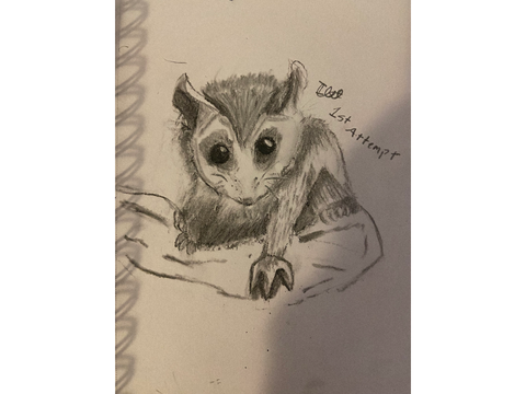Trad Art Dump