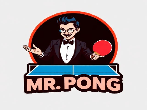 Mr. Pong